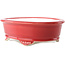 Oval red bonsai pot by Yixing - 270 x 200 x 80 mm