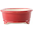 Oval red bonsai pot by Yixing - 270 x 200 x 80 mm