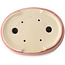 Maceta ovalada para bonsái roja de Yixing - 235 x 185 x 75 mm