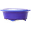 Ovale dunkelblaue Bonsaischale von Yixing – 170 x 130 x 60 mm