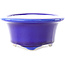 Ovale dunkelblaue Bonsaischale von Yixing – 170 x 130 x 60 mm