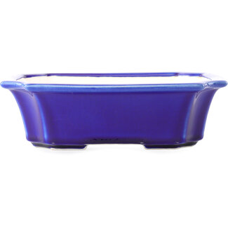 Yixing Vaso bonsai blu scuro da 220 mm di Yixing, Cina