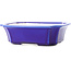 Rectangular dark blue bonsai pot by Yixing - 220 x 180 x 60 mm