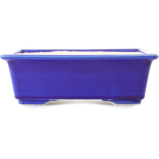 Yixing Pot à bonsaï bleu foncé 215 mm par Yixing, Chine