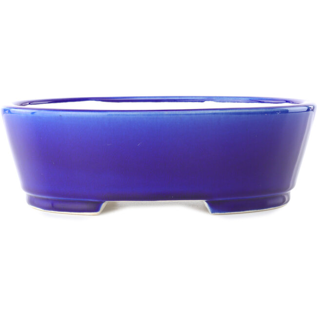 Pot à bonsaï ovale bleu foncé par Yixing - 235 x 185 x 75 mm