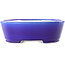 Pot à bonsaï ovale bleu foncé par Yixing - 235 x 185 x 75 mm