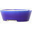 Pot à bonsaï ovale bleu foncé par Yixing - 235 x 185 x 75 mm