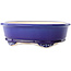 Pot à bonsaï ovale bleu foncé par Yixing - 270 x 200 x 80 mm