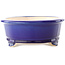 Oval dark blue bonsai pot by Yixing - 270 x 200 x 80 mm