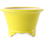 Maceta redonda para bonsái amarilla de Yixing - 170 x 170 x 110 mm