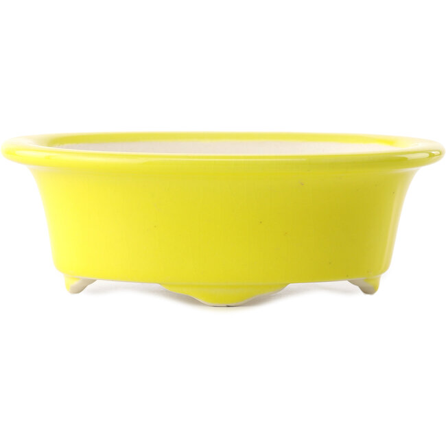 Pot à bonsaï ovale jaune par Yixing - 170 x 130 x 60 mm
