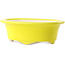 Pot à bonsaï ovale jaune par Yixing - 170 x 130 x 60 mm