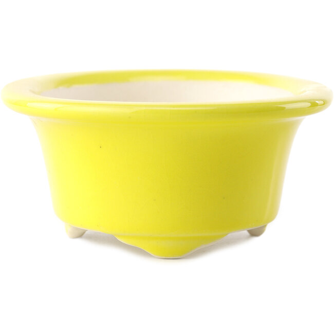 Pot à bonsaï ovale jaune par Yixing - 170 x 130 x 60 mm