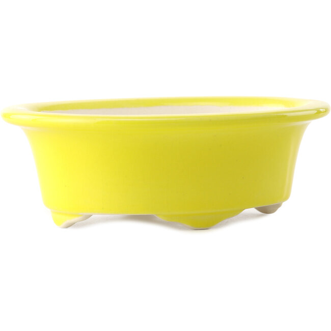 Maceta ovalada para bonsái amarilla de Yixing - 170 x 130 x 60 mm