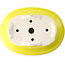 Pot à bonsaï ovale jaune par Yixing - 170 x 130 x 60 mm