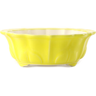 Yixing Pot à bonsaï jaune 170 mm par Yixing, Chine