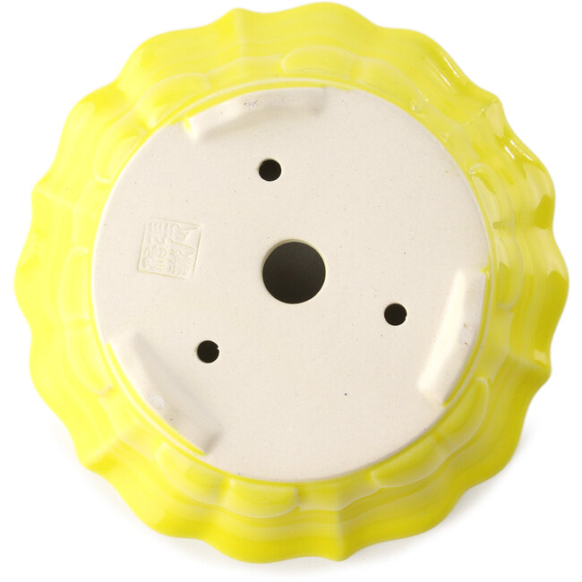 Pot à bonsaï rond jaune par Yixing - 170 x 170 x 60 mm