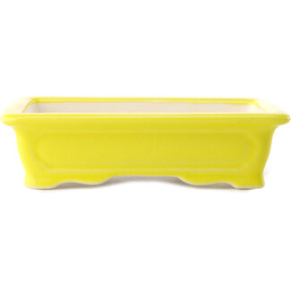 Yixing Pot à bonsaï jaune 180 mm par Yixing, Chine