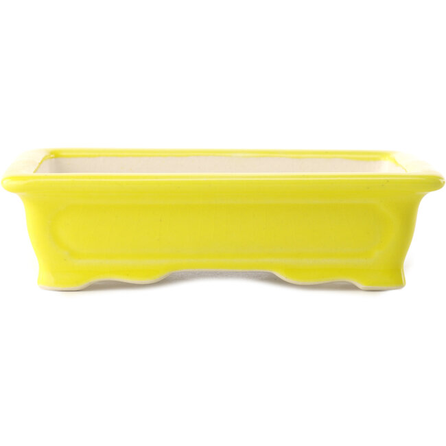 Rectangular yellow bonsai pot by Yixing - 180 x 125 x 60 mm