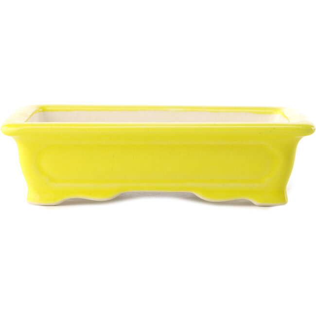 Pot à bonsaï rectangulaire jaune par Yixing - 180 x 125 x 60 mm
