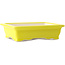 Rectangular yellow bonsai pot by Yixing - 180 x 125 x 60 mm