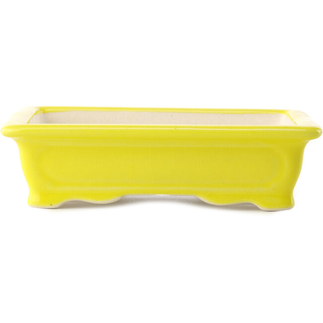 Maceta rectangular amarilla para bonsái de Yixing - 180 x 125 x 60 mm