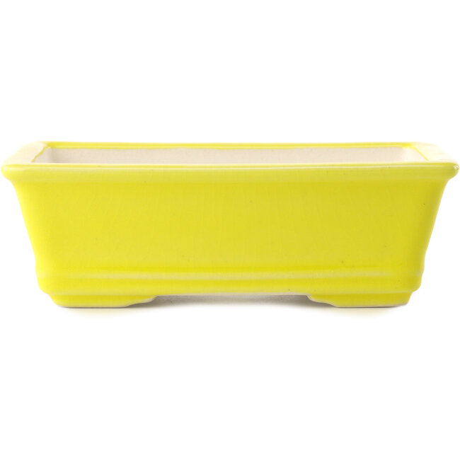 Rectangular yellow bonsai pot by Yixing - 180 x 130 x 50 mm
