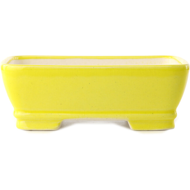 Rectangular yellow bonsai pot by Yixing - 180 x 140 x 60 mm