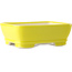Rectangular yellow bonsai pot by Yixing - 180 x 140 x 60 mm
