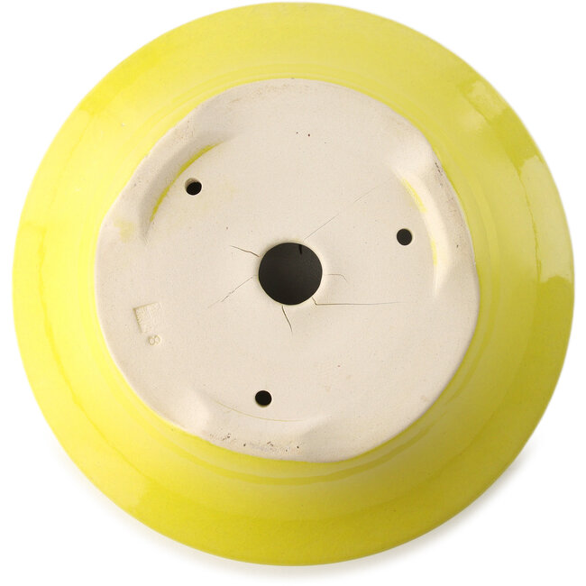 Maceta redonda para bonsái amarilla de Yixing - 215 x 215 x 75 mm