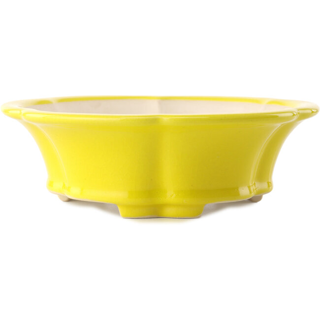 Vaso bonsai rotondo giallo di Yixing - 205 x 205 x 65 mm