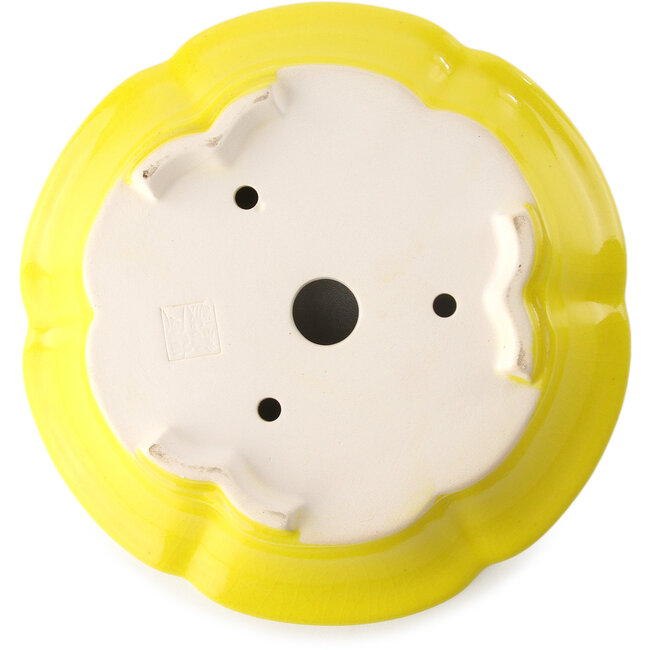 Ronde gele bonsaipot van Yixing - 205 x 205 x 65 mm
