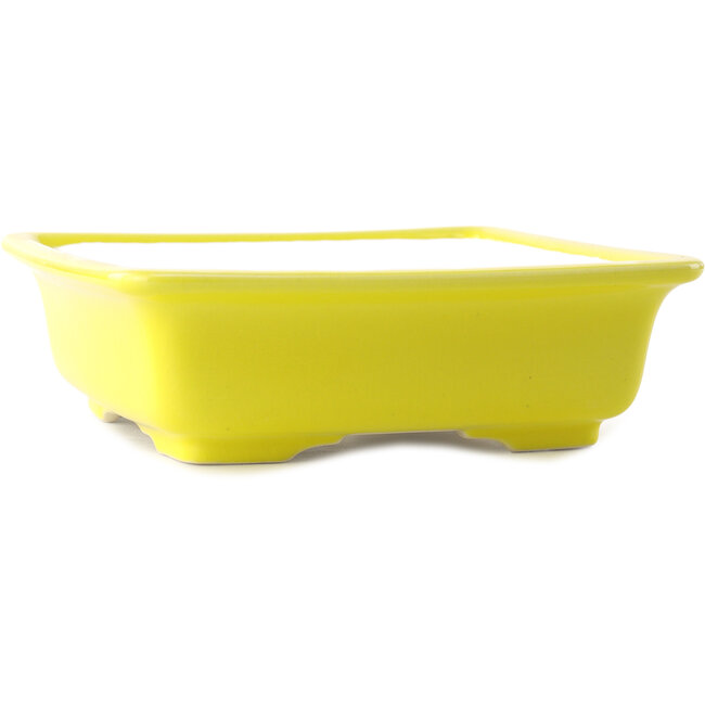 Vaso bonsai quadrato giallo di Yixing - 210 x 210 x 65 mm