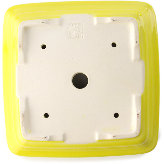 Square yellow bonsai pot by Yixing - 210 x 210 x 65 mm