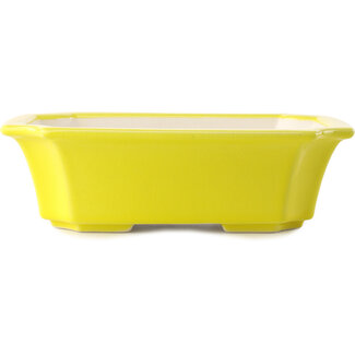 Yixing Pot à bonsaï jaune 220 mm par Yixing, Chine