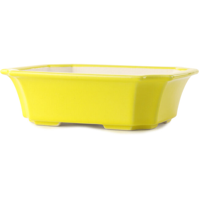 Maceta rectangular amarilla para bonsái de Yixing - 220 x 180 x 60 mm