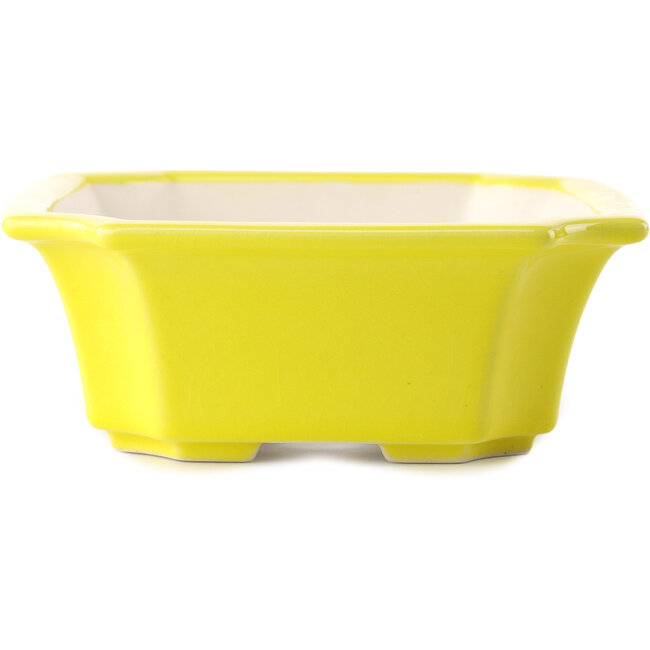 Rectangular yellow bonsai pot by Yixing - 220 x 180 x 60 mm