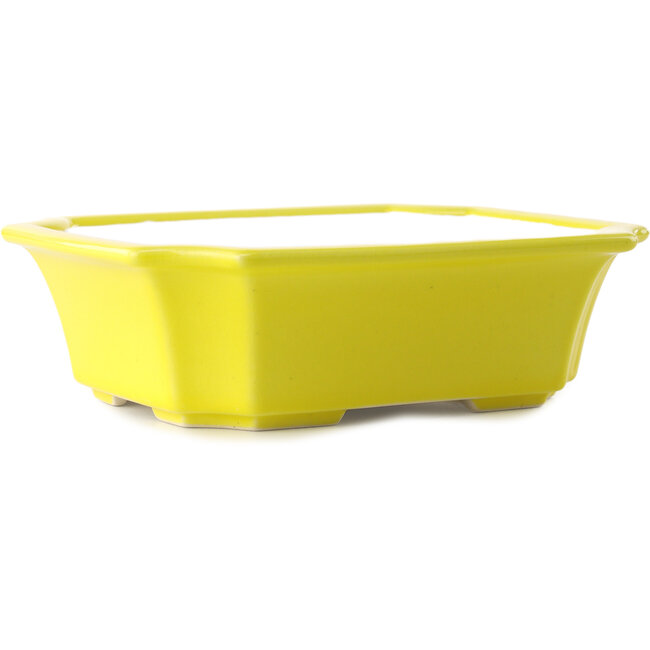Pot à bonsaï rectangulaire jaune par Yixing - 220 x 180 x 60 mm