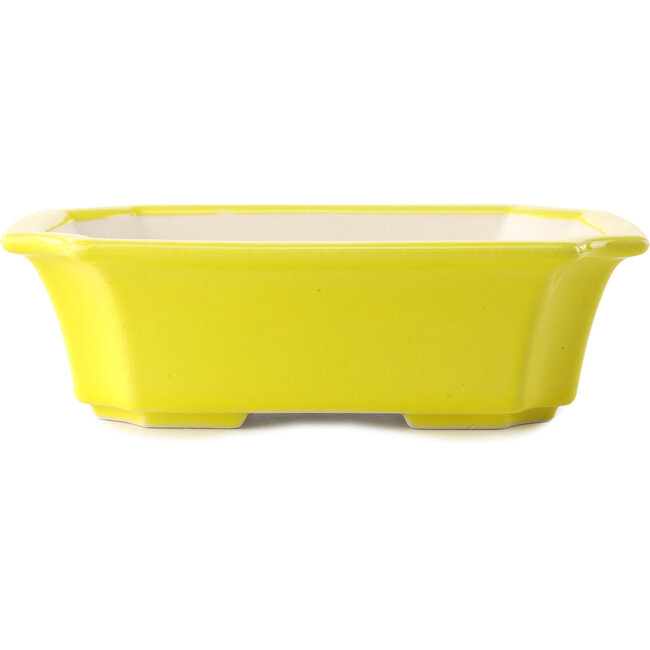 Maceta rectangular amarilla para bonsái de Yixing - 220 x 180 x 60 mm