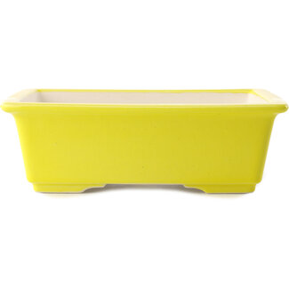 Yixing 215 mm  yellow bonsai pot by Yixing, China