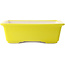 Rectangular yellow bonsai pot by Yixing - 215 x 170 x 70 mm