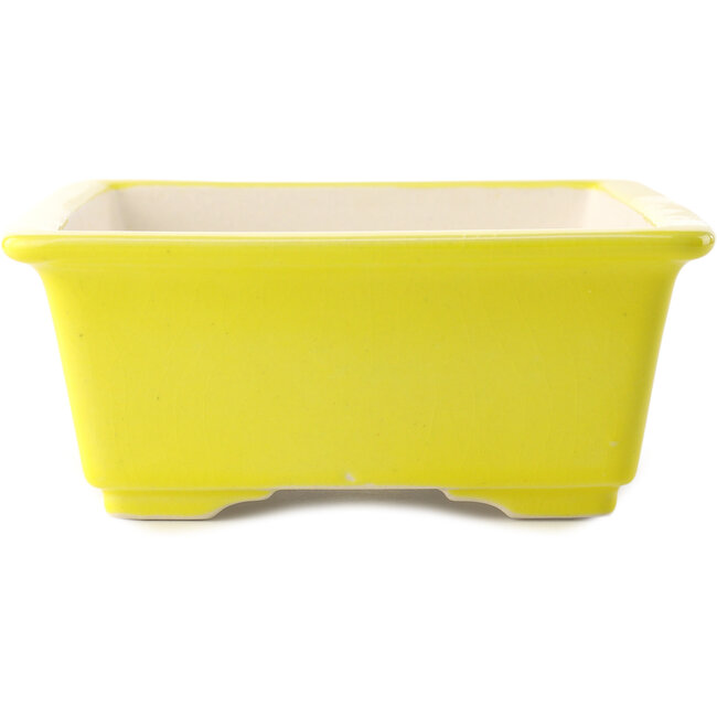 Maceta rectangular amarilla para bonsái de Yixing - 215 x 170 x 70 mm