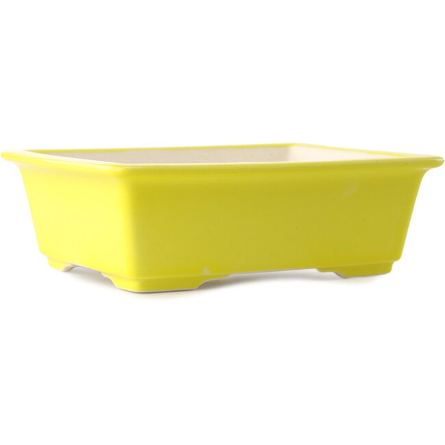 Vaso bonsai rettangolare giallo di Yixing - 215 x 170 x 70 mm