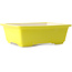 Maceta rectangular amarilla para bonsái de Yixing - 215 x 170 x 70 mm