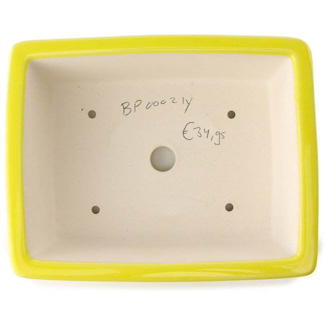 Maceta rectangular amarilla para bonsái de Yixing - 215 x 170 x 70 mm