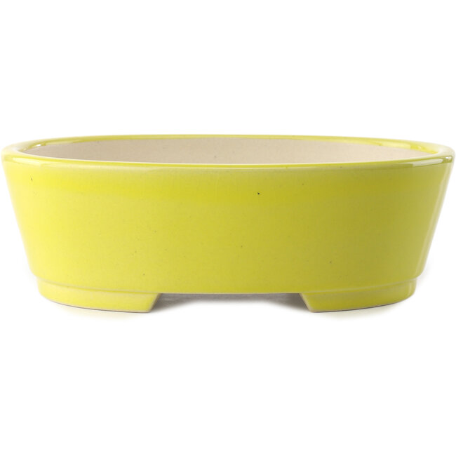 Maceta ovalada para bonsái amarilla de Yixing - 235 x 185 x 75 mm
