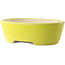 Maceta ovalada para bonsái amarilla de Yixing - 235 x 185 x 75 mm