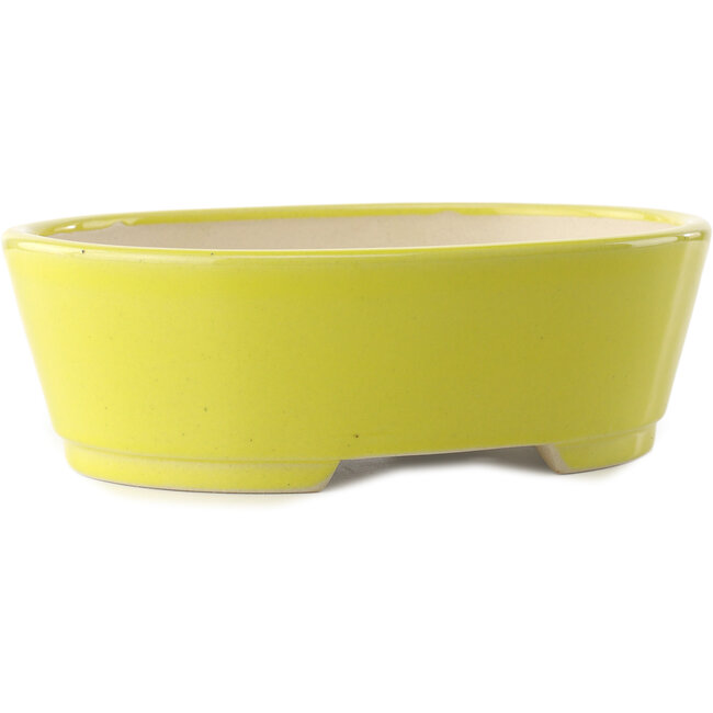 Vaso bonsai ovale giallo di Yixing - 235 x 185 x 75 mm