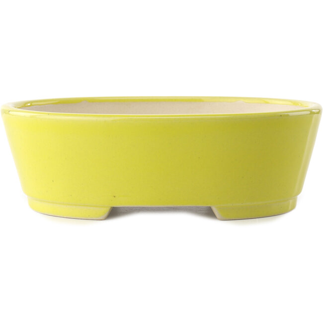 Maceta ovalada para bonsái amarilla de Yixing - 235 x 185 x 75 mm