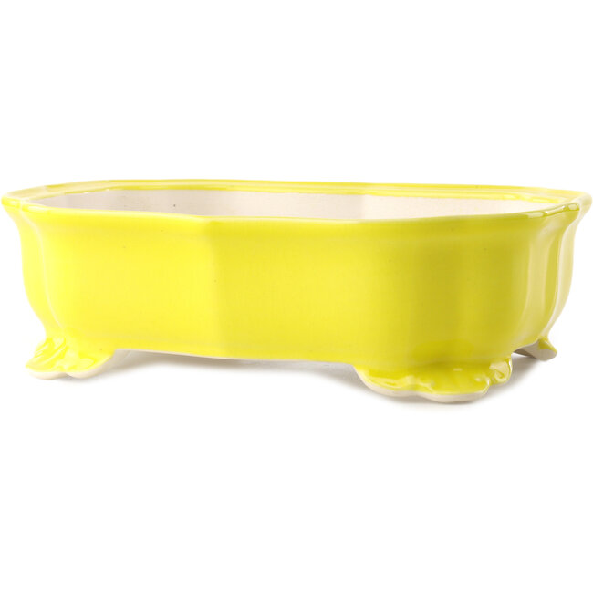 Mokko yellow bonsai pot by Yixing - 245 x 190 x 70 mm